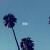 prodbypolar