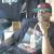 iMackMusic