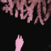 nightswimjim