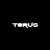 lTorusl