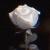 BlvkRose