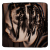 sdglbwsk