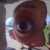 Enz3oo