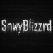 SnwyBlizzrd