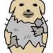 tpd