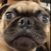 NinjaAngelz