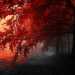 stuckinautumn