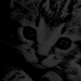 kizzy7june
