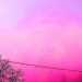 tr4shm3n