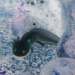 Zenpo361