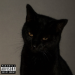 NVR251thebeatmaker