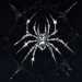 spider808