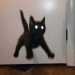 duskkk