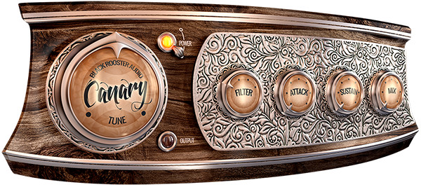 The Canary update The Canary update