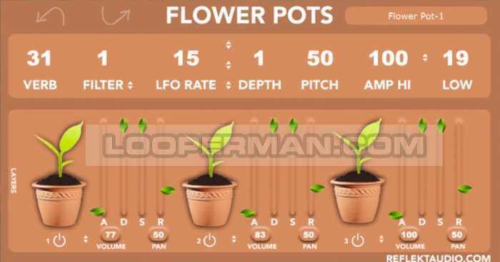 Flower Pots Flower Pots