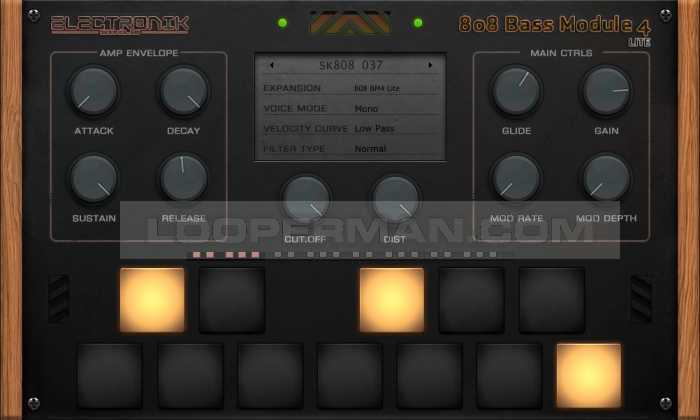 808 Bass Module 4 Lite 808 Bass Module 4 Lite