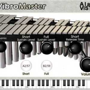 VibroMaster by Alan Vista