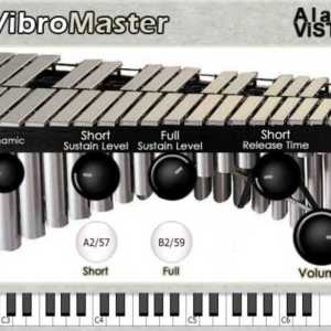 VibroMaster