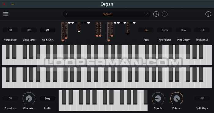 Organ Organ